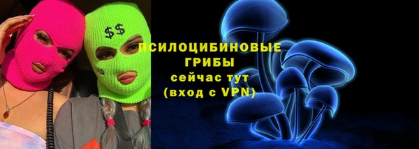 МДПВ Всеволожск
