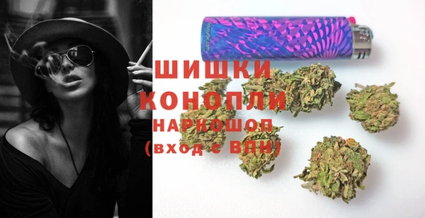 PSILOCYBIN Алзамай