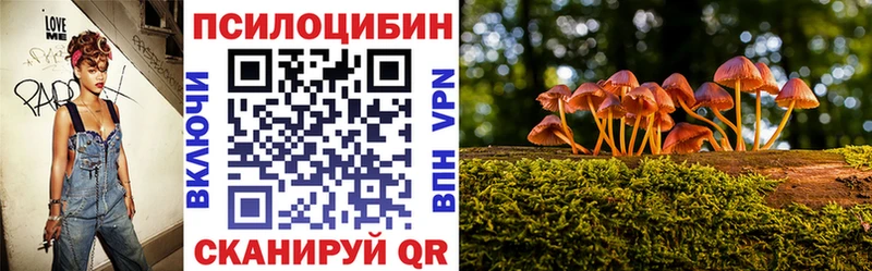 хочу   Пролетарск  Псилоцибиновые грибы Psilocybe 